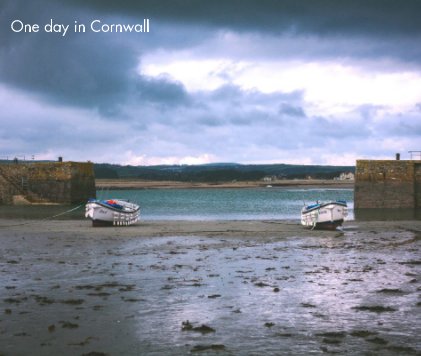One day in Cornwall book cover