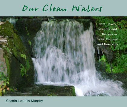 Our Clean Waters book cover