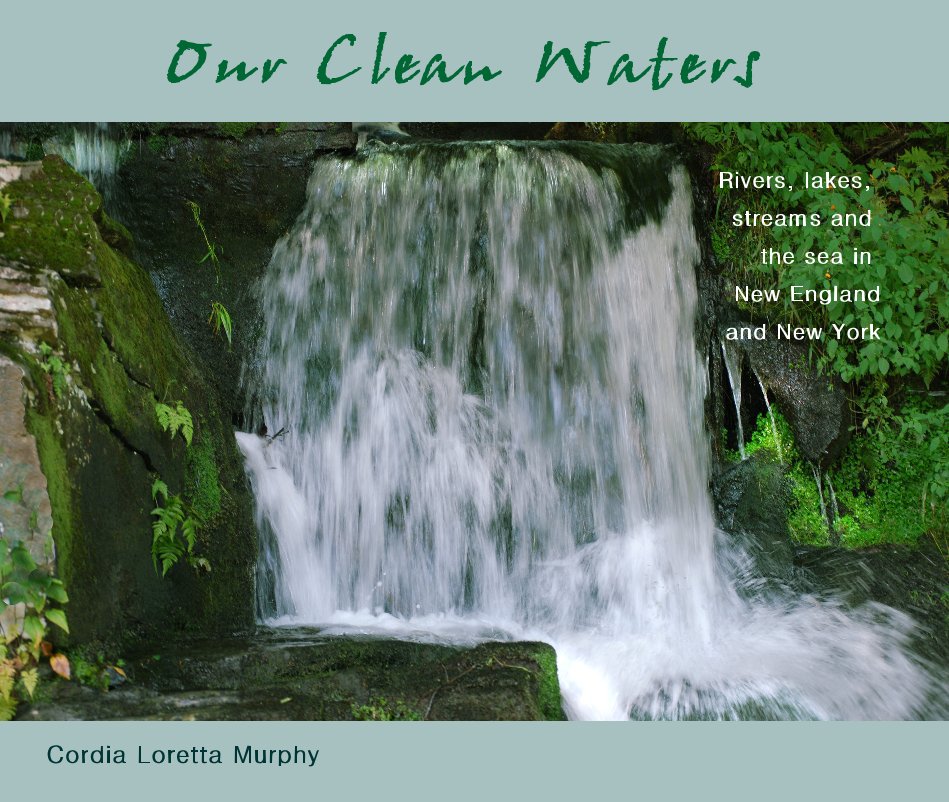 View Our Clean Waters by Cordia Loretta Murphy