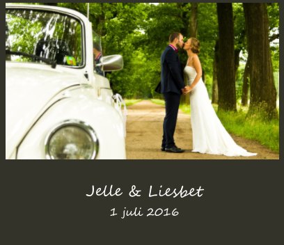 Perfect match: Jelle & Liesbet book cover
