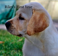 Riley's First Year book cover