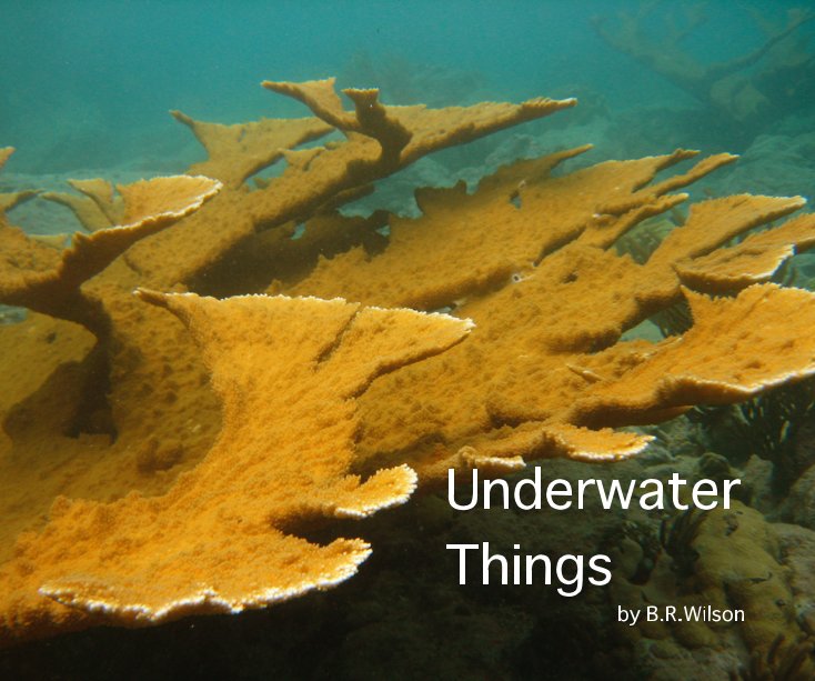 View Underwater Things by B.R.Wilson
