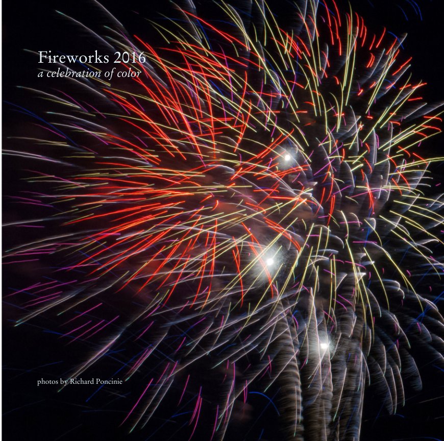 View Fireworks 2016 by photos by Richard Poncinie