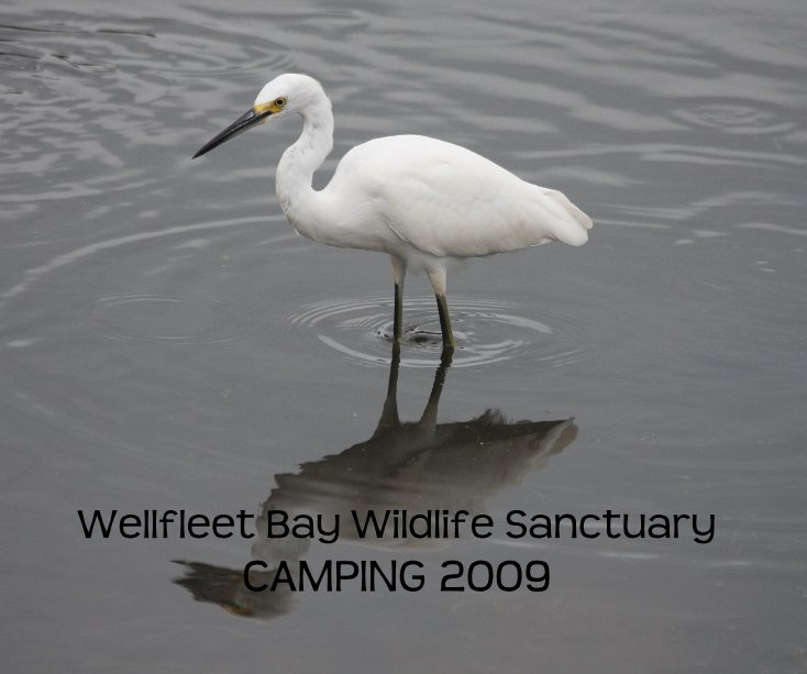 View Wellfleet Bay Wildlife Sanctuary CAMPING 2009 by dgrossbaum