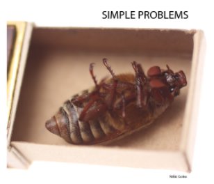 Simple Problems book cover