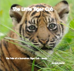 The Little Tiger Cub book cover