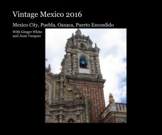 Vintage Mexico 2016 book cover