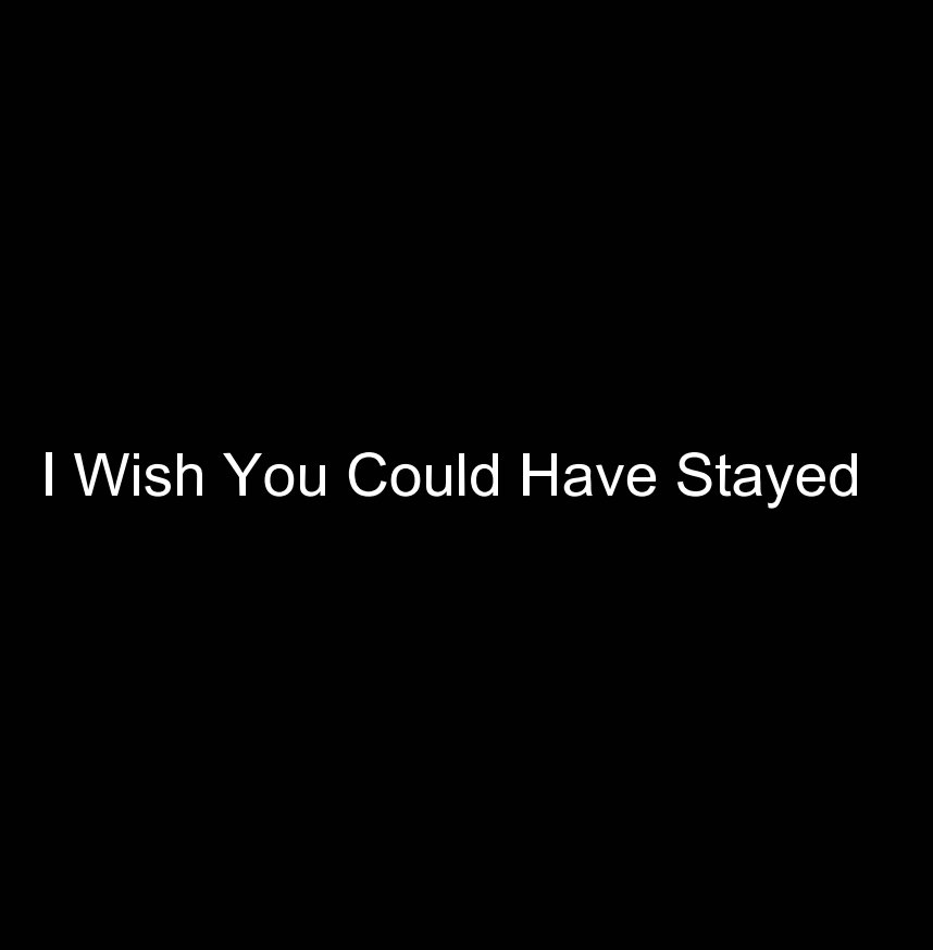 View I Wish You Could Have Stayed by Anissa Yarbrough