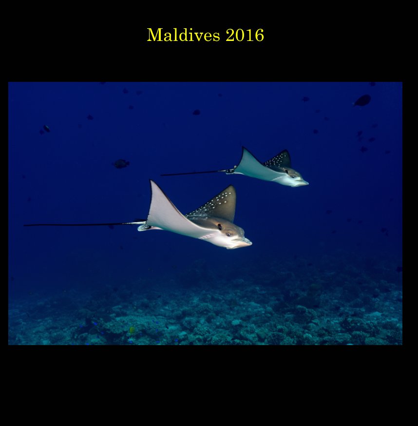 Bekijk Maldives 2016 op Dennis Malmström