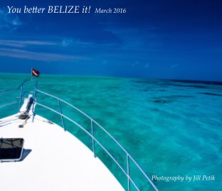 You better Belize it book cover