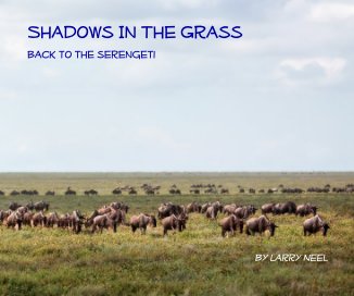 Shadows In The Grass book cover