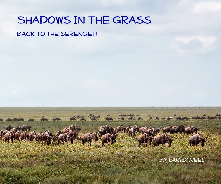 View Shadows In The Grass by Larry Neel
