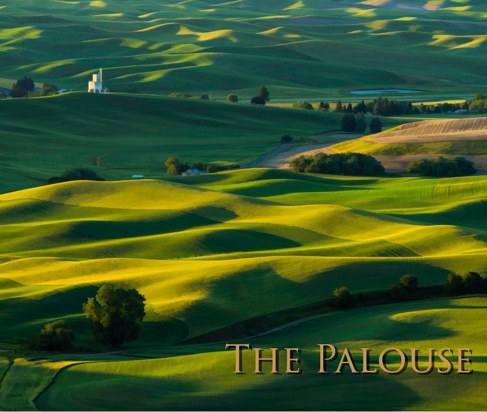 View The Palouse by Emanuel Dale
