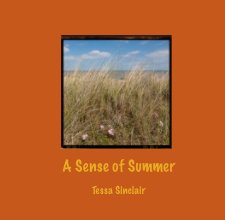 A Sense of Summer book cover