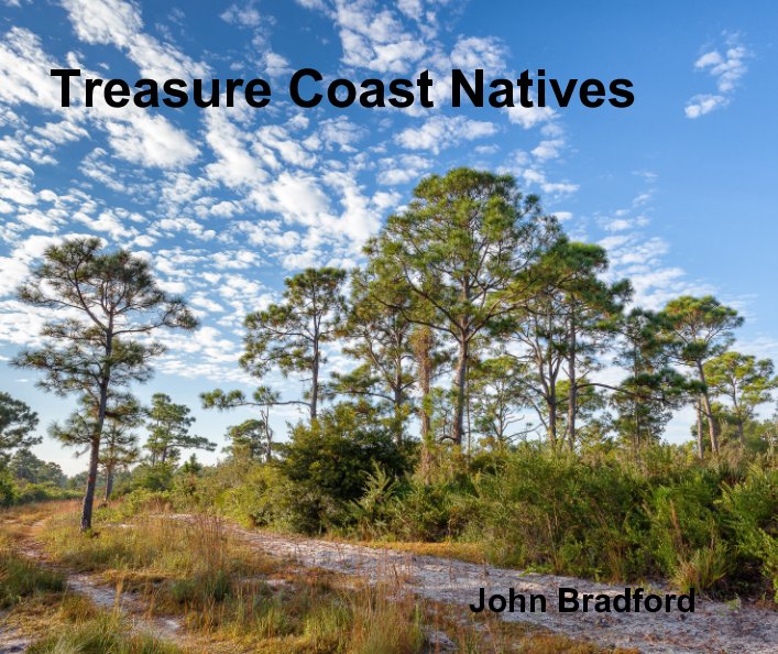 Visualizza Treasure Coast Natives di John Bradford