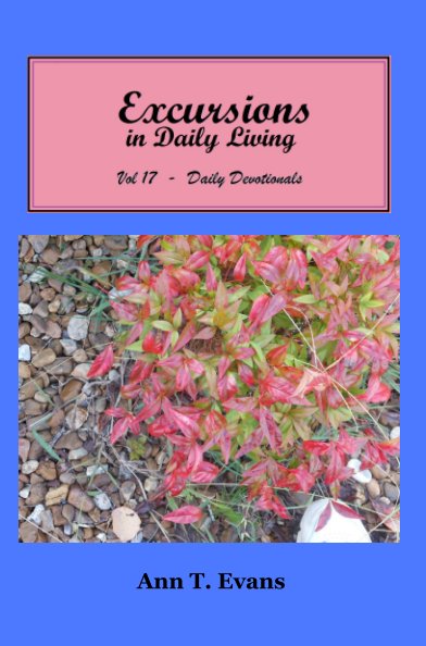 View Excursions in Daily Living Vol 17 by Ann T. Evans