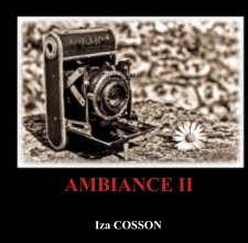AMBIANCE II book cover