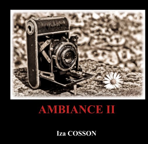 Ver AMBIANCE II por Iza COSSON