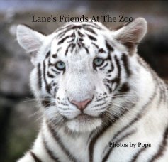 Lane's Friends At The Zoo book cover