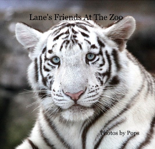 Ver Lane's Friends At The Zoo por Photos by Pops