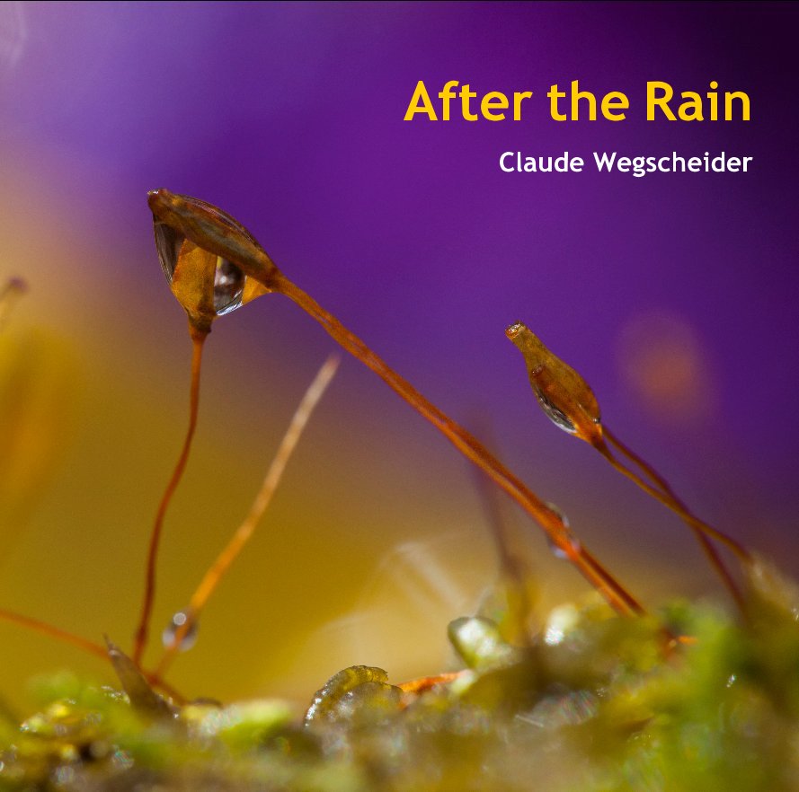Ver After the Rain por Claude Wegscheider