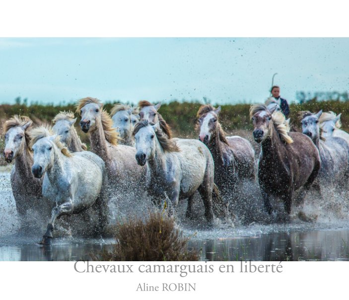View Chevaux camarguais en liberté by Aline ROBIN