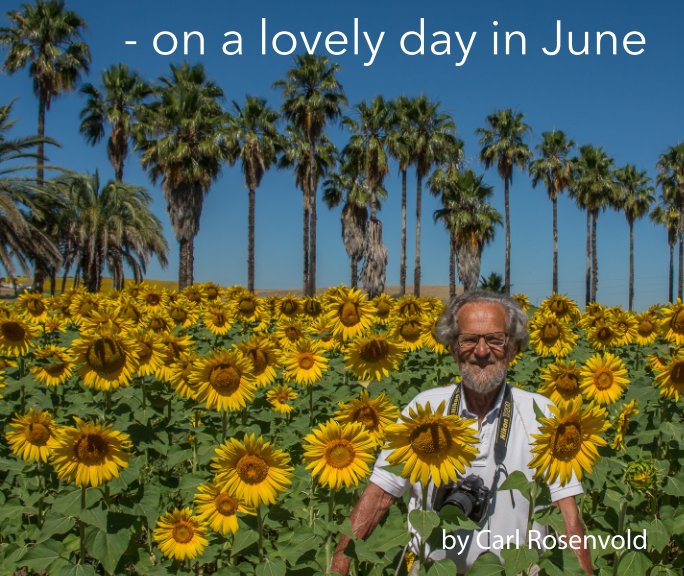 View On a lovely day in June by Carl Rosenvold