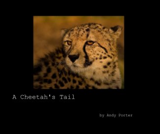 A Cheetah's Tail book cover