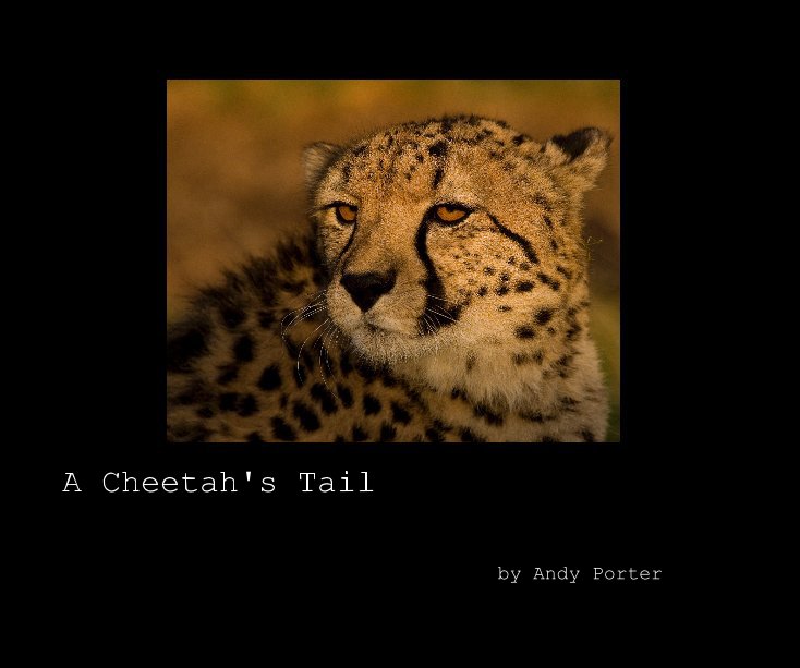View A Cheetah's Tail by Andy Porter