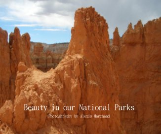Beauty in our National Parks book cover
