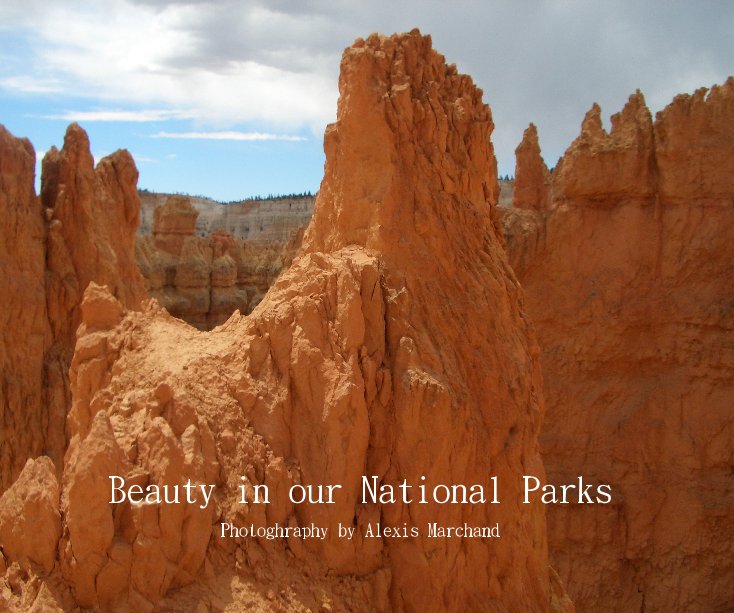 View Beauty in our National Parks by Photoghraphy by Alexis Marchand