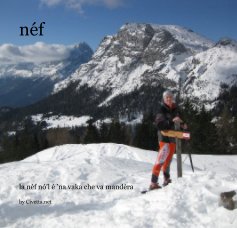 néf book cover