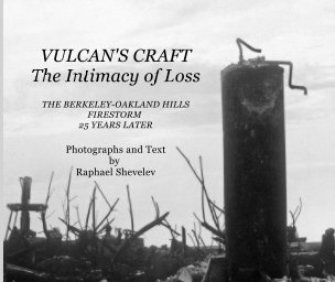 Vulcan's Craft: The Intimacy of Loss book cover