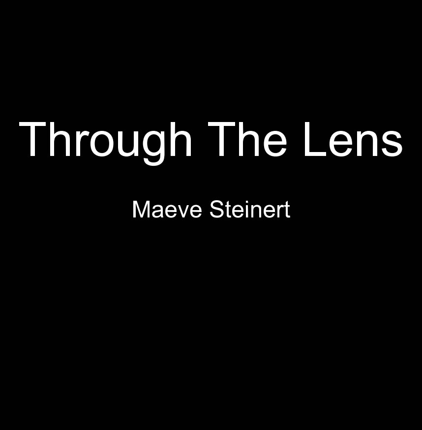 View Through The Lense by Maeve Steinert