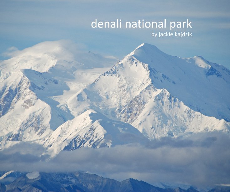View denali national park by Jackie Kajdzik