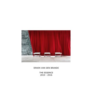 ERWIN VAN DEN BRANDE    -    THE ESSENCE 2010 - 2016 book cover