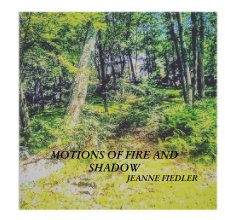 Motions of Fire and Shadow book cover