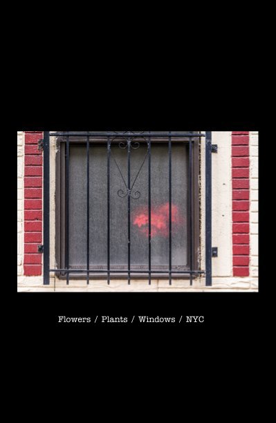 Ver Flowers / Plants / Windows / NYC por John Gellings