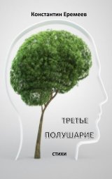 ТРЕТЬЕ ПОЛУШАРИЕ book cover