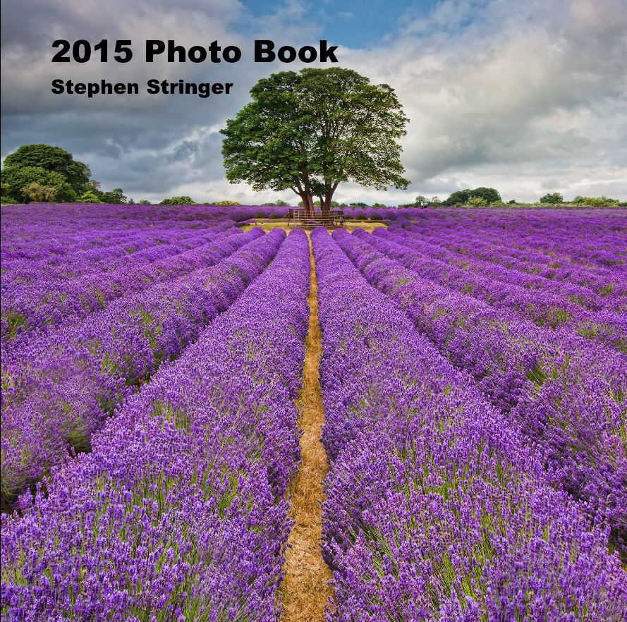 View 2015 Photo Book by Stephen Stringer