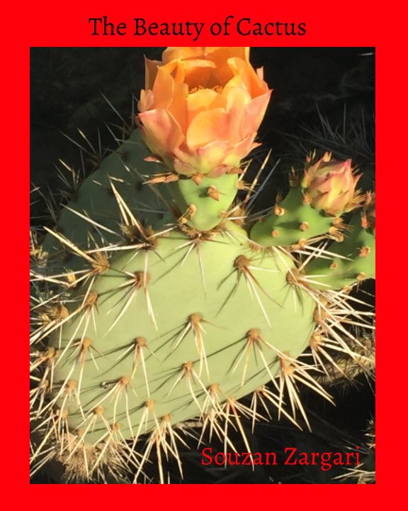 Ver The Beauty of Cactus by souzan zargari por souzan zargari