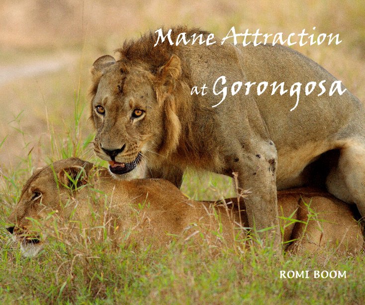 View Mane Attraction at Gorongosa by ROMI BOOM