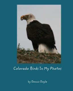 Colorado Birds In My Photos book cover