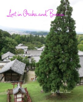 Lost in Osaka and Busan book cover