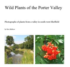 Wild Plants of the Porter Valley book cover