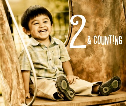 2 & COUNTING book cover