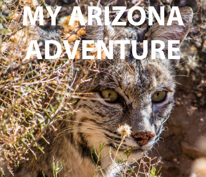View My Arizona Adventure by John Craine