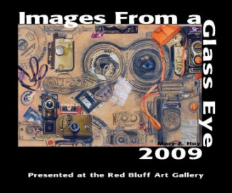 Images From A Glass Eye Exhibition 2009 book cover