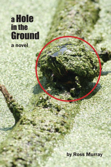 View A Hole in the Ground by Ross Murray