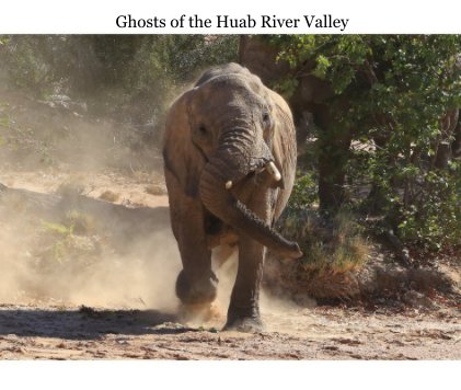 Ghosts of the Huab River Valley book cover
